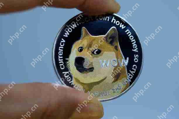 Dogecoin（Doge）的价格行动表明，即将集会至0.27美元